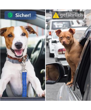 Oyefly Universal Dog Seat Belt Elastic Safety Belt for Dogs & Cats | Strong Carabiners | Fits All Car Types (Blue) - Buy Online on GoSupps.com