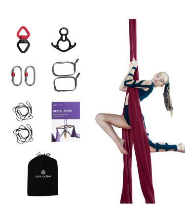 aum active 11 Yards Aerial Silks Kit - Durable Ariel Silks with Hardware, Swivel & Guide - Aerial Swing for Acrobatic Flying Yoga & All Levels (Aerial Yoga Hammock Aerial Rigging Point Up to 18ft) Plum