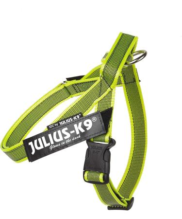 Buy Julius-K9 Belt Harness XS Mini-Mini Neon-Grey | Best Quality Dog Harness for Global Shipping - Buy Online on GoSupps.com