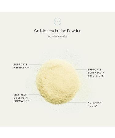 Perelel 2nd Trimester Glow Bundle 2nd Trimester Prenatal Vitamin Pack Synbiotic Greens Powder & Cellular Hydration Powder - Buy Online on GoSupps.com