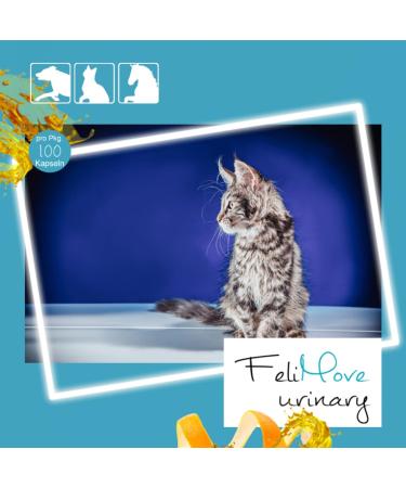 Felimove Urinary for Cats - 100 Capsules | Struvite FUS FLUTD & Cystitis Support with Cysticran EPA Chondroitin & Vitamin C - Fast International Shipping - Buy Online on GoSupps.com