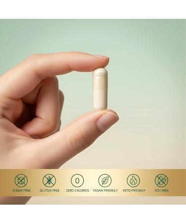 VEYORA Magnesium Citrate Complex 1000 mg | 60 Vegan Capsules | with Chasteberry & Vitamin B6 | Plant-Based Clean Label | Non-GMO | Gluten-Free - Buy Online on GoSupps.com