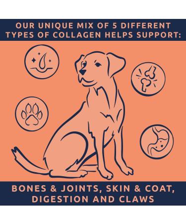 | Pawable | Collagen for Dogs Joints | Unique Dog Collagen Blend | Scientifically Proven Joint Supplement for Dogs | 225g Powder Single Pack - Buy Online on GoSupps.com