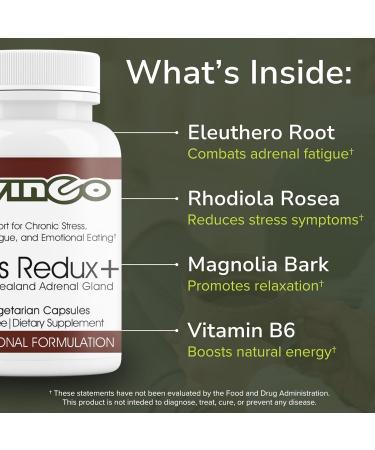 Vinco Inc - Stress Redux+ Advanced Adrenal & Cortisol Daily Supplement | (60 Capsules) | Reduce Stress & Fatigue | Supports Mood Balance Focus & Emotional Well-Being | Gluten Free - Buy Online on GoSupps.com