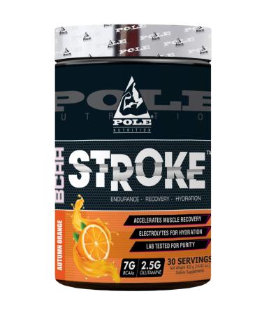 BCAA Stroke 30 Serving 420 Gram Autumn Orange