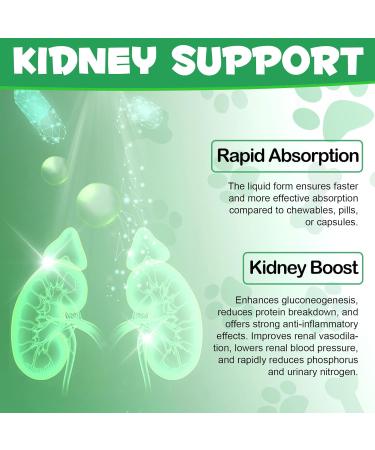 Kidney Support Drops for Dogs and Cats 60ml for Healthy Kidney Function in Cats and Dogs Natural Herbal Supplements Increase Immunity (Dogs) - Buy Online on GoSupps.com