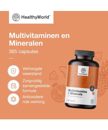 Be Healthy Group doo Multivitamins and Minerals 25 Vitamins and Minerals 365 Capsules 1 Year Supply Vegetable Capsules Immune System Energy Boost Valuable Vitamins from A to Z - Buy Online on GoSupps.com