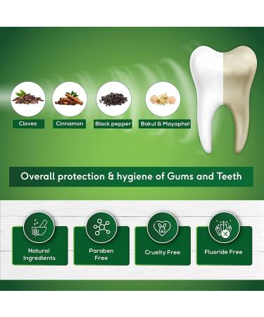 Sri Sri Tattva Sudanta Herbal Gel Toothpaste - All Natural SLS Free Fluoride Free Tooth Paste with Charcoal Salt & More - 100g (Pack of 2) for Kids and Adults - Buy Online on GoSupps.com