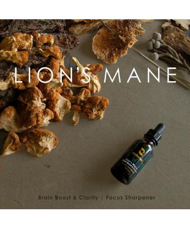 Redmint Lion's Mane Mushroom Extract with Ginkgo Leaf & Ginseng and More - Brain Boost & Clarity Herbal Tincture - Rooted in Ancient TCM Wisdom - Organic Immune Support Mushroom Supplement - 1 fl oz Loins Mane 1 Fl Oz (Pack  - Buy Online on GoSupps.com