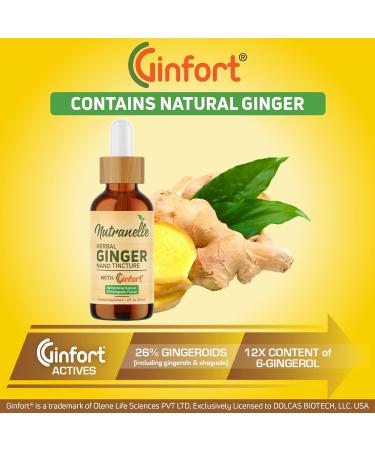 Nutranelle Herbal Nausea Nano Tincture with Ginfort - Upset Stomach Relief Supplement - 2 fl oz - Buy Online on GoSupps.com