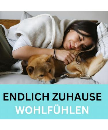 Boumour Animal Hair Remover | Lint Roll & Self-Cleaning Tool for Pet Hair on Carpets Sofas & Beds - Effective Cat & Dog Hair Removal - Buy Online on GoSupps.com