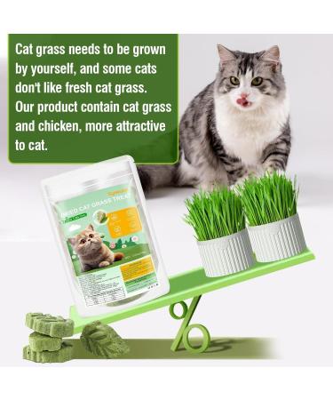 100g Cat Grass Treats Cat Grass Teething Stick for Hairball Remove and Teeth Cleaning Edible Cat Grass Stick Snack - Buy Online on GoSupps.com