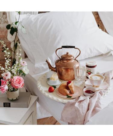 Darbo D'ARBO CONCEPTION D'ALBIQUE SETT 450 GR - Buy Online on GoSupps.com