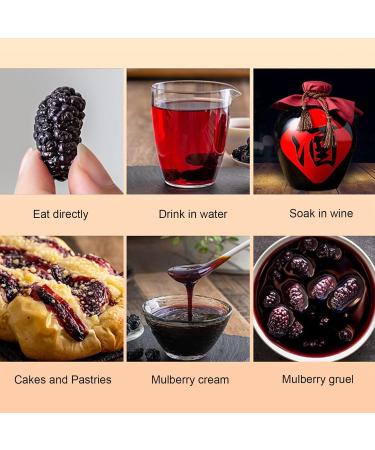 Gavigain Organic Dried Mulberries NonGMO Unsulfured Unsweetened No Additives Natural Wild Black Mulberries Wax Free Nonsand Healthcare Food - Buy Online on GoSupps.com