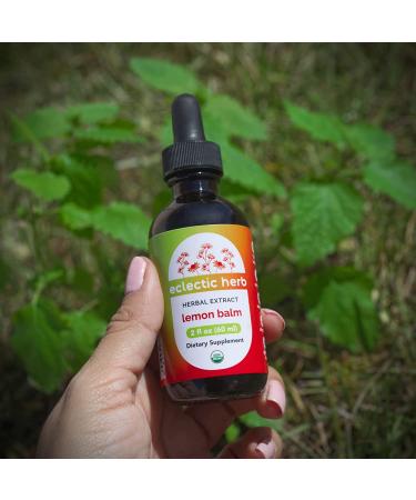 Eclectic Institute Organic Lemon Balm Extract 2 fl oz - Natural Herbal Remedy - Buy Online on GoSupps.com