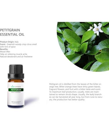 Citrus Essential Oil Set - Pack of 6 Pure Therapeutic Grade 10ml Oils | Lemon Grapefruit Sweet Orange Lime Bergamot & Petitgrain - Buy Online on GoSupps.com