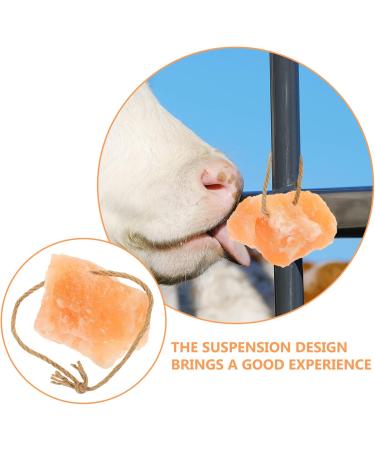 POPETPOP Salt Brick Blocks Livestock Salt Lick Animal Cow Lick Blocks Salt Block Livestock Natural Salt Small Pet Nutrition - Buy Online on GoSupps.com