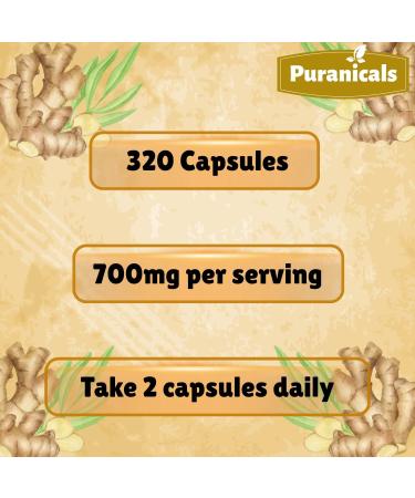 Ginger Premium 320 Capsules Non GMO and Gluten Free | Herbal Supplement | 700 mg Per Serving | Made with 100% Pure Ginger Root Powder Ginger Capsules 320 Count (Pack of 1) - Buy Online on GoSupps.com