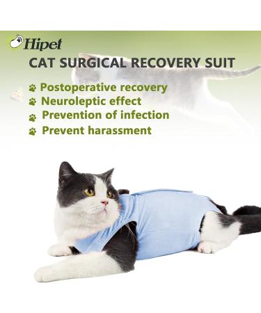 Buy Hipet Cat Surgical Recovery Suit - Abdominal Wound & Skin Disease Vest No E-Collar Needed - S Blue - International Shipping Available - Buy Online on GoSupps.com