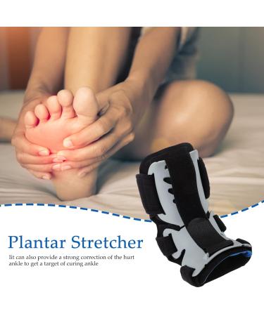 Adjustable Healvian Plantar Brace for Drop Foot - AFO Ankle Support & Stabilizer for Walking & Exercise - Buy Online on GoSupps.com