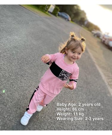 ZOEREA Baby Girl Leopard Sweatshirt and Harem Pants Set | Spring Fall Outfits 12-18 Months Pink - Buy Online on GoSupps.com