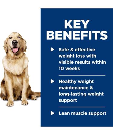 Hill's Science Diet Adult Healthy Mobility Large Breed Dry Dog Food Chicken Meal Brown Rice & Adult Perfect Weight Vegetable & Chicken Stew Canned Dog Food for Healthy Weight 12.5 oz 12 Pack - Buy Online on GoSupps.com