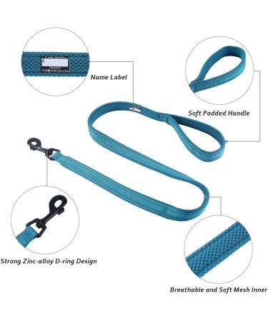 Durable Dog Leash Strap - Padded 1.1m Pet Leash for Puppies - Blue | International Shipping Available - Buy Online on GoSupps.com