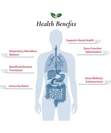 Lactobacillus Sakei Probiotic Powder 150 Billion CFU | Sinus Relief | High Potency | Made in USA | No Additives | 60g - Buy Online on GoSupps.com