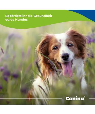 Canina Pharma Caniletten 300g - Buy Online on GoSupps.com