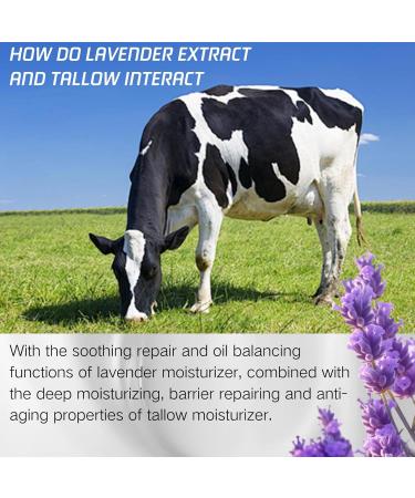 Tallow Balm - Moisturiser for Dry Skin - Body Lotion - Beef Tallow Lavender Body Moisturiser for Women&Men - Nourish Smooth Body Cream - Repair Barrier Face Moisturiser Balance Oil Body Care - Buy Online on GoSupps.com