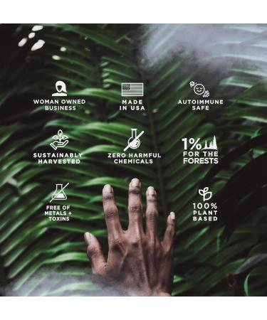 Vagus Nerve Oil | Natural Relief for Stress & Anxiety | International Shipping Available - Buy Online on GoSupps.com