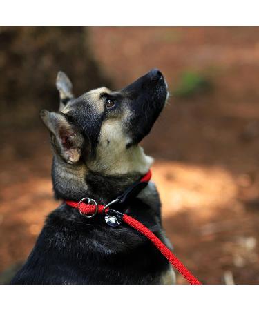 Premium Lionto Retriever Dog Leash - 170cm Weatherproof Red Pull Leash for Robust Control - Buy Online on GoSupps.com