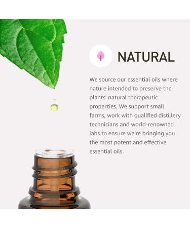 Rocky Mountain Oils Aligning Essential Oil Blend 15ml - 100% Pure & Natural Fractionated Coconut Oil Base - Perfect for Mind & Body Harmony - Buy Online on GoSupps.com