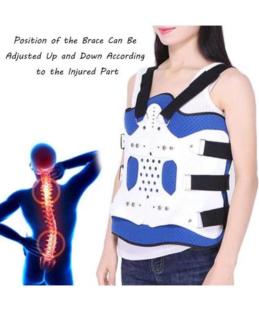 Buy SFKLYU Thoracolumbar Fixed Spinal Brace | Adjustable Lumbar Spine Support for Compression Fracture Rehabilitation - International Shipping - Buy Online on GoSupps.com