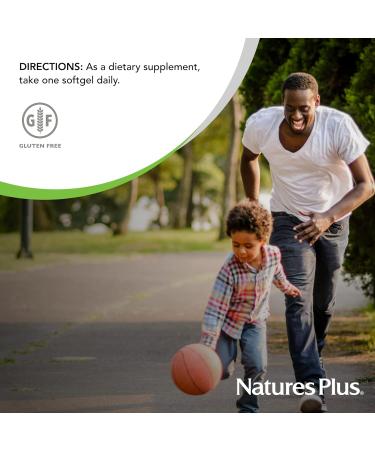 Buy Nature Plus Lecithin 1200mg - 90 Softgels for Healthy Brain & Heart | International Shipping Available - Buy Online on GoSupps.com