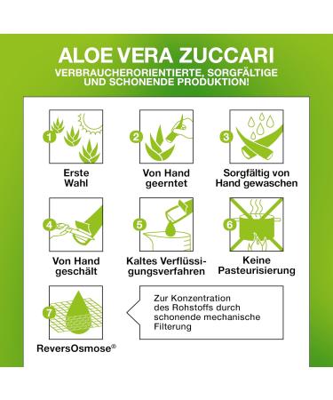 Zuccari Offer Primitive Gel DAloe 3 packs of 150 ml zucchini - Buy Online on GoSupps.com