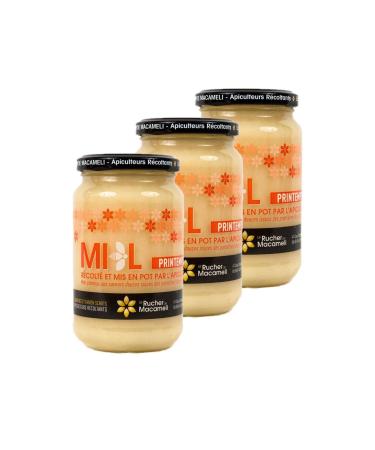 Set of 3 Spring Honey – Monts du Lyonnais – Rhône Alpes – Le Rucher de Macameli – Pot 500 g