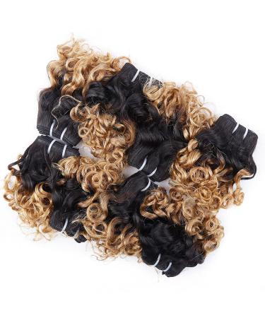 10A Brazilian Ombre Curly Short Bob Hair Bundles - 8 Bundles (200g) 1B/27 Two Tone Ombre Weave - 8 8 8 8 8 8 8 8 - Buy Online on GoSupps.com