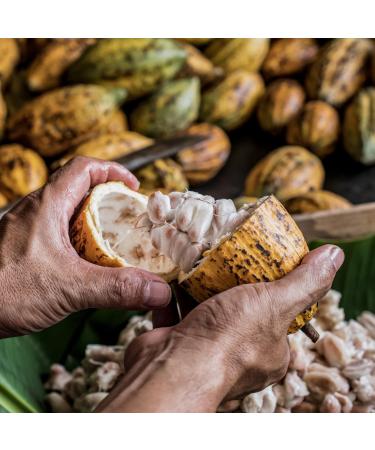 Woodflame Cocoa Butter Pastilles 1kg - Pure Vegan Theobroma Cocoa Seed Butter for Cosmetics & Food Quality - Buy Online on GoSupps.com