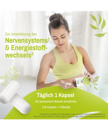 Vitamin B Complex High Dose | B12 B2 B6 - 120 Vegan Capsules | Rhein Nutrition - 4 Month Supply in Germany - Buy Online on GoSupps.com