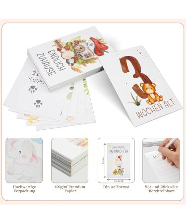 50 Hand-Painted Baby Milestone Cards - Monthly Growth Tracker & Perfect Gift for Birth & Baby Showers - Buy Online on GoSupps.com