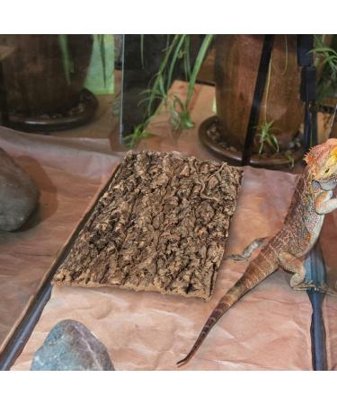 ULTECHNOVO 3Pcs Cork Bark Terrarium Background Set | Reptile Climbing Wall Decor for Turtle, Gecko, Lizard | Habitat Accessories for Terrariums - Buy Online on GoSupps.com