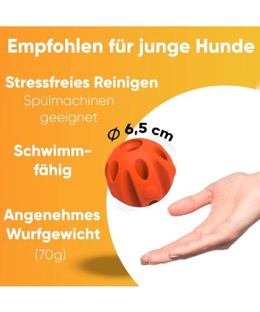 Shop Enero Dog Whistle Reliable Dog Training High Frequency Far-Reaching Volume + Bonus Dog Ball Set - Buy Online on GoSupps.com