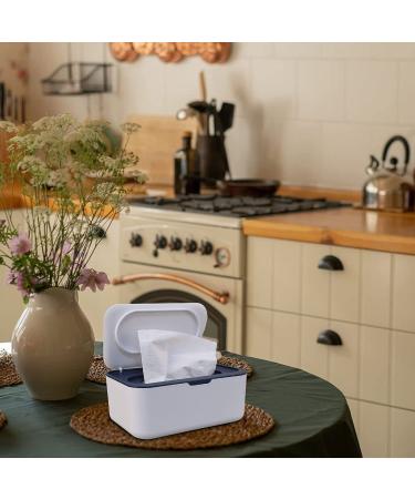 2 Pack Baby Wipes Dispenser with Lids - Refillable Wipe Holder for Bathroom & Travel - Keeps Wipes Fresh - Grey & Blue - Buy Online on GoSupps.com