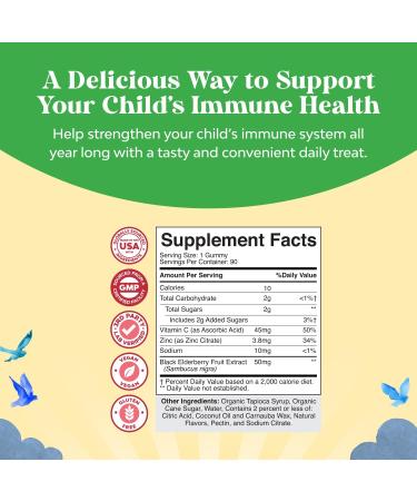 Bundle of Kids DHA Omega 3 Gummies - Fatty Acids Omega 3 6 9 for Brain Immune Strength & Vision - Nutritional DHA and Sambucus Elderberry Gummies for Kids Health - Zinc & Vitamin C for Immune Support - Buy Online on GoSupps.com