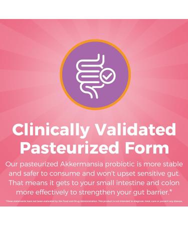 NewRhythm Probiotics for Women Akkermansia Probiotic Biotin Vitamin B6 B12 & Inositol 120 Billion CFU 20 Strains Digestive Enzymes Prebiotics & Vaginal Probiotics for PH Balance 60 Capsules - Buy Online on GoSupps.com