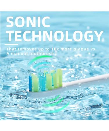 7AM2M Sonic Electric Toothbrush for Adults and Kids One Charge for 90 Days with 6 Brush Heads 5 Modes with 2 Minutes Build in Smart Timer Roman Column Handle Design(Green) Green No Travel Case - Buy Online on GoSupps.com