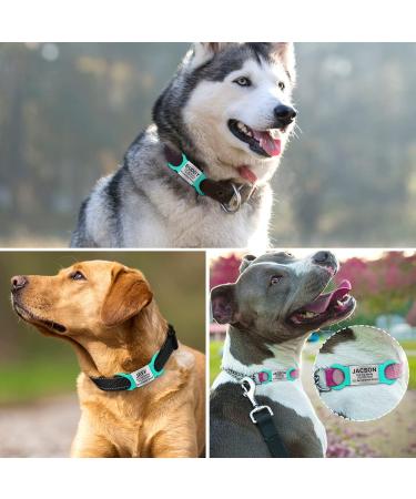 Tagme 2 Pack Personalized Dog ID Tags for Small & Medium Breeds - Engraved Turquoise - Buy Online on GoSupps.com