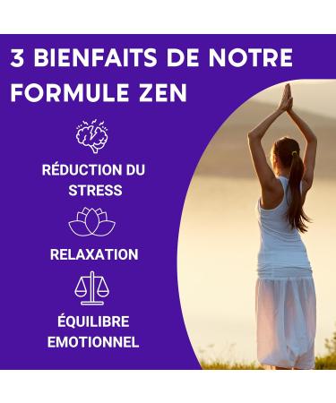 ZEN FORMULA | GABA Griffonia St. John's wort Melissa Rhodiola Vitamin B6 | Natural Stress Relief | 30 Days of Relaxation | Dietary Supplement | Made in France - Buy Online on GoSupps.com