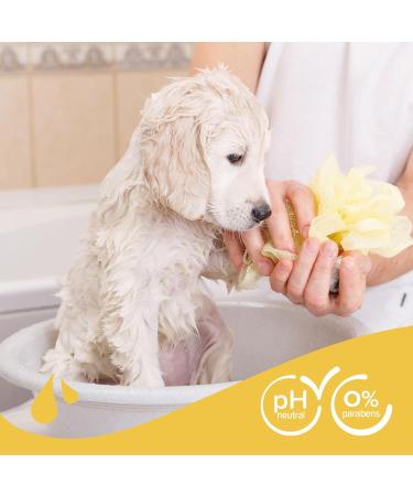 Beaphar Puppy Shampoo Enriched with Camomile & Aloe vera Specially Formulated for a Puppy s Sensitive Skin Vegan Mild & pH Neutral For Fresh Clean Shiny Coats 250 ml Yellow - Buy Online on GoSupps.com